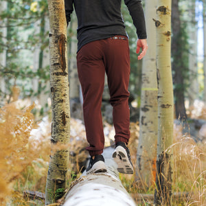 Hoth Jogger (Athletic) - Sequoia - Back